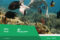 F-Tours-Lombok-Blog-1