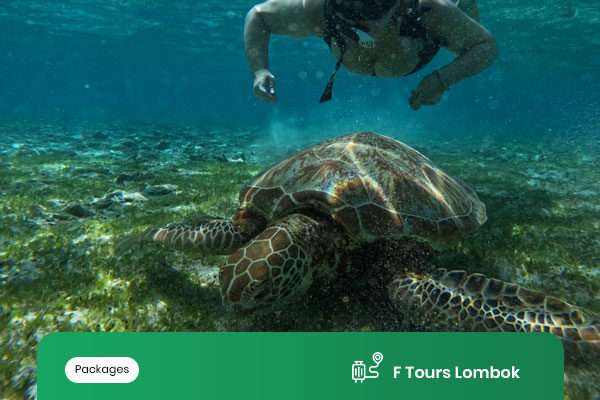 FULL-DAY-TWO-GILI-TRAWANGAN-&-MENO-OR-GILI-AIR