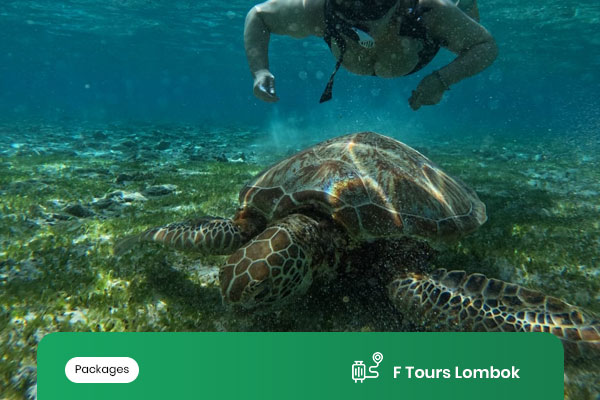 FULL-DAY-TWO-GILI-TRAWANGAN-&-MENO-OR-GILI-AIR